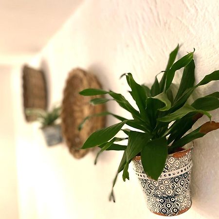 Casa Mia Villa Mola di Bari Luaran gambar