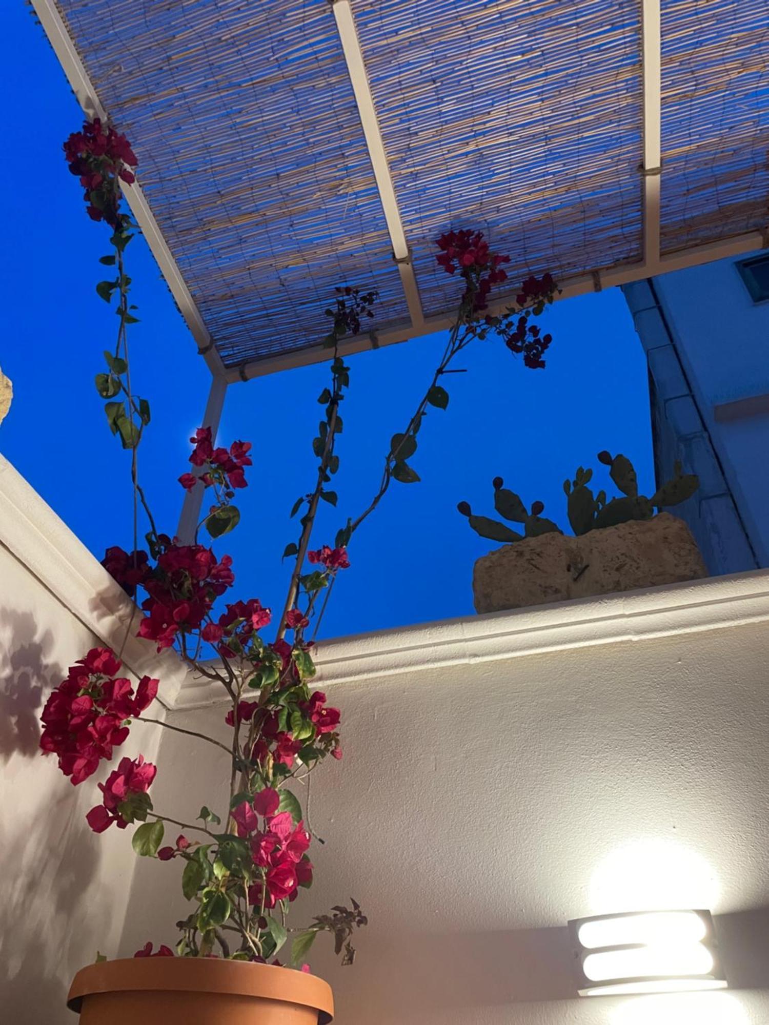 Casa Mia Villa Mola di Bari Luaran gambar